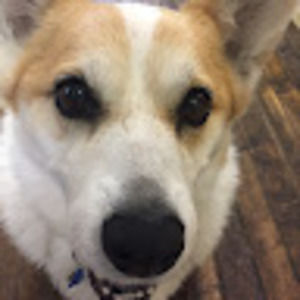 Meet your Posher, Adeline